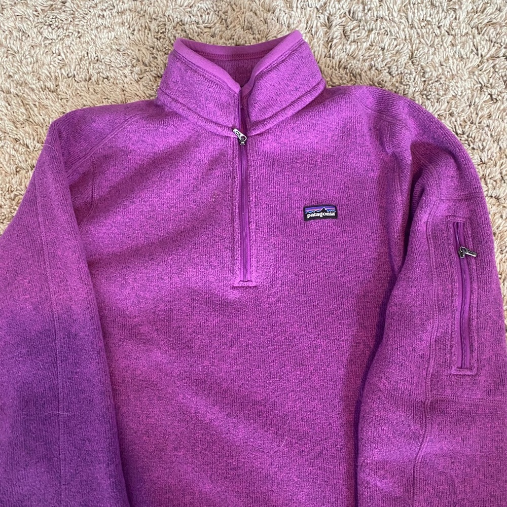 Patagonia Better Sweater